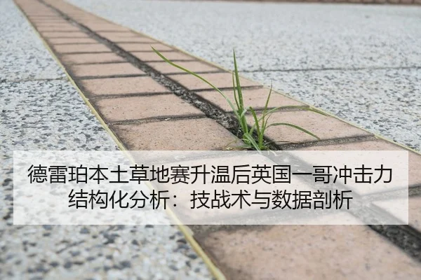 德雷珀本土草地赛升温后英国一哥冲击力结构化分析：技战术与数据剖析
